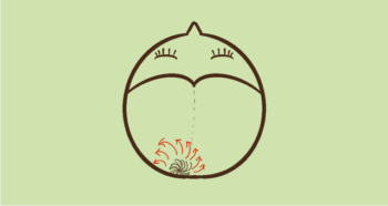 生えぐせの種類