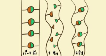 パーマの仕組み